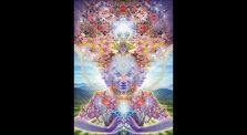 Cover 2